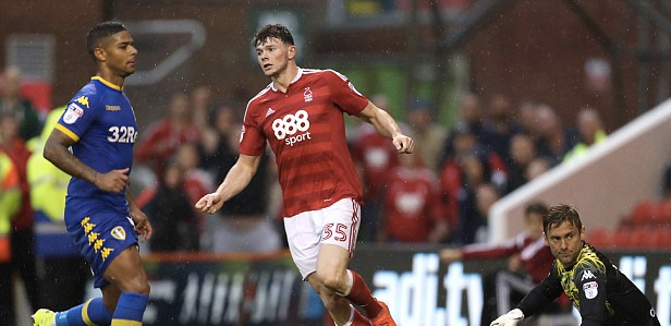 年轻的拉菲 年轻的拉菲